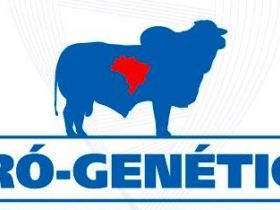 Criador comemora venda rápida de touros pela internet