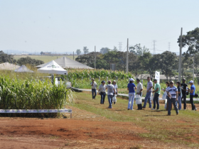 ExpoZebu 2018: ?Dias de Campo? vão movimentar Fazenda Experimental da ABCZ