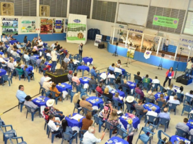 Leilão com chancela Pró-Genética foi destaque em exposição do MS     