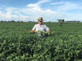 Morre um dos principais criadores de Sindi do país