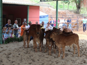 Sindi tem evento concorrido no Rio de Janeiro 