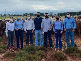 Equipe da Melhora + Consultoria Genética visita a ABCZ