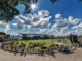 ExpoZebu: Raça Crioula define vencedores