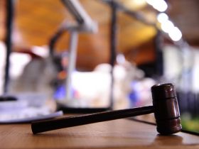 Leilões ExpoZebu 2022 movimentam mais de R$ 29 milhões