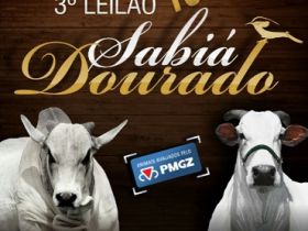 3º Leilão Top Sabiá Dourado ofertará touros e matrizes avaliados