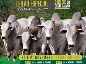 16º Leilão Prova de Ganho em Peso a Pasto do Oeste da Bahia - 25 Anos de Seleção Agro Antonio Balbino acontece semana que vem!