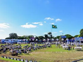 90ª ExpoZebu registra número recorde de visitas internacionais