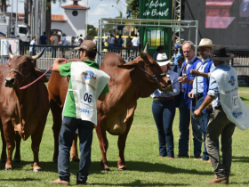 Inscrições para campeonatos Matriz Modelo e Modelo Frigorífico já estão abertas