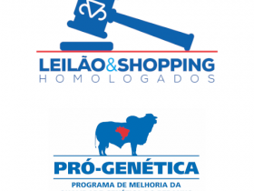 13º Leilão Elo do Norte – Edição Virtual é homologado pela ABCZ