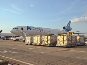 Brasil conclui acordo com Moçambique para exportar bovinos vivos