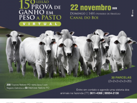 ?15º Leilão Prova de Ganho em peso a pasto? vai ofertar mais de 250 animais 