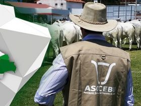 Pecuária brasileira é referência na Bolívia e vai brilhar na Expocruz 