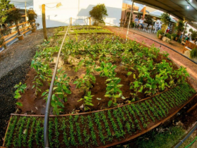 Fazendinha da Fazu será novamente atração na ExpoZebu 2016