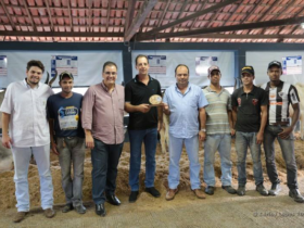 Vaca Guzerá quebra recorde na Megaleite 2015