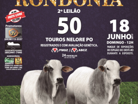 ?Joias de Rondônia? vai oferecer 50 touros Nelore no domingo (18)