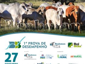 ABCZ TV retransmitirá resultado de prova de eficiência do Brahman neste sábado (27)