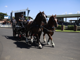 ExpoZebu oferece passeios de trole para visitantes