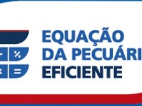 ABCZ disponibiliza na internet diagnóstico gratuito do Projeto Equação da Pecuária Eficiente 