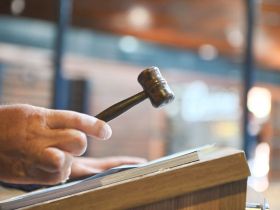 Faturamento de leilões da 89ª ExpoZebu já ultrapassa R$ 120 milhões