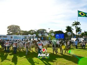 Confira os destaques da programação deste sábado (2) na 91ª ExpoZebu