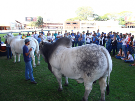 Curso de julgamento movimenta Parque Fernando Costa