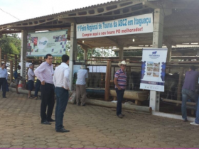 Produtores capixabas conferem e compram touros do Pró-Genética