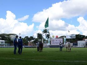 ExpoZebu 2022: Prazo de inscrições com maior desconto termina no próximo dia 4