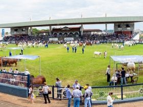 ExpoZebu 2020 já tem data definida