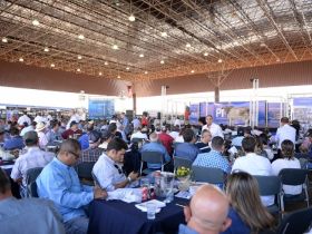 1º Leilão de Touros PNAT oferta genética de qualidade e movimenta mais de meio milhão de reais