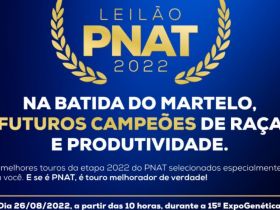 ExpoGenética 2022: Leilão Touros PNAT ofertará genética de qualidade no dia 26 de agosto