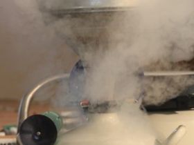 Associados da ABCZ podem participar de compra coletiva de protocolos de IATF para Estação de Monta