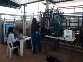 ABCZ divulga resultados da etapa de Eficiência Alimentar do Programa “Zebu: Carne de Qualidade”