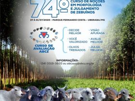 Inscrições abertas para o Curso de Noções em Morfologia e Julgamento de Zebuínos da ABCZ