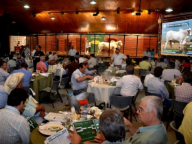 ExpoGenética 2016: Leilões superam R$9,4 milhões