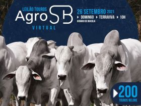 Leilão Virtual de Touros AgroSB será realizado neste domingo (26)