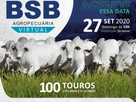 ?7º Leilão virtual BSB Agropecuária? vai ofertar cerca de 100 animais no próximo domingo (27)