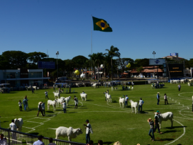 Inscrições para a 83ª ExpoZebu começam em 26 de janeiro