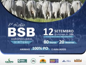 BSB Agropecuária promove leilão neste domingo (12)