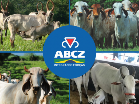 ABCZ cria estratégias para fomento de raças zebuínas