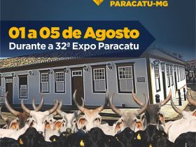 Associação dos Criadores de Guzerá e Guzolando realiza a Exposição Nacional do Guzerá