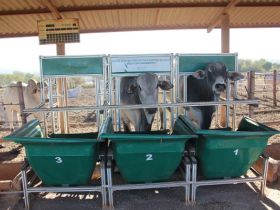 Mais de 130 animais participarão do TDEA/ PNAT 2018