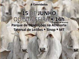 Leilão de Touros DGF Agropecuária será dia 15 de junho