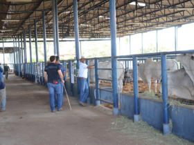 ExpoGenética 2015: Número de animais inscritos cresce 44,69%