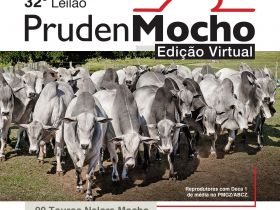 32º Leilão Prudenmocho Virtual será realizado no próximo sábado (11)