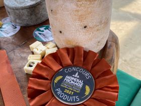 Criadores de Gir são destaque no maior concurso de queijos do mundo