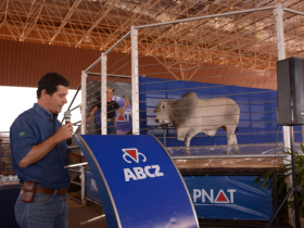 PNAT 2018 vai contar com leilão de touros participantes