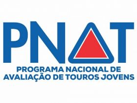 ExpoGenética: Inscrições para campeonato ‘Conjunto Progênie de Pai Touros PNAT’ já podem ser feitas