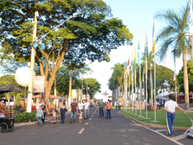 Quinta-feira (02) na ExpoZebu será marcada por primeiros registros da raça Punganur
