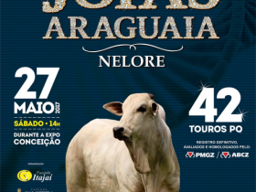 ?8º Joias do Araguaia? oferece 42 touros em Conceição do Araguaia (PA)