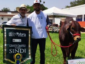 Touro PNAT 2022 se consagra Grande Campeão na EXPOABRA